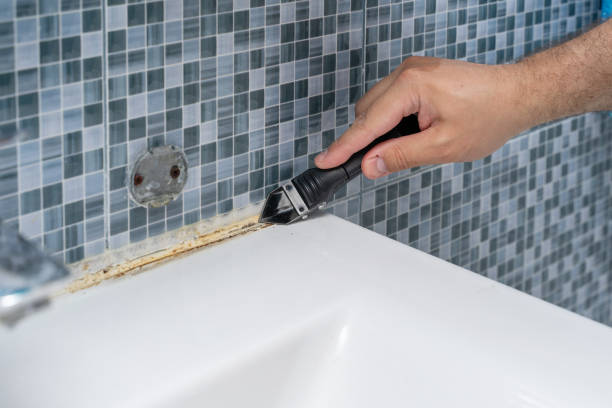 Best Fast Mold Removal  in Wixom, MI