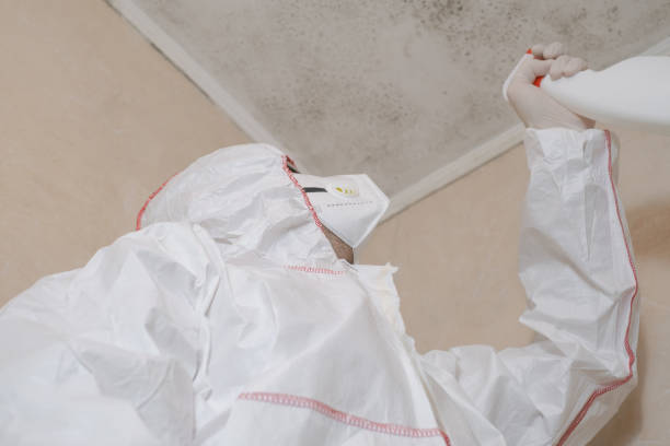 Best Residential Mold Removal  in Wixom, MI